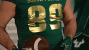 South Florida Go Bulls GIF by USF Athletics