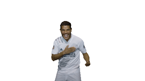 Los Angeles Football Sticker by LA Galaxy