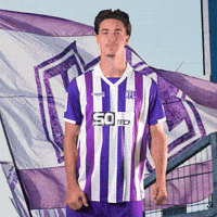 Tor Sieg GIF by VfLOsnabrueck