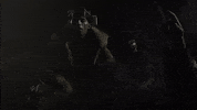 Opium GIF by Playboi Carti