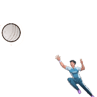 dishtvindia celebration cricket ipl match Sticker