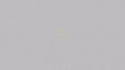 diamond youth GIF by Topshelf Records