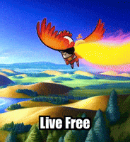 Live Free Freedom GIF by Zorooster