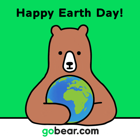 gobear giphyupload cute loop bear GIF