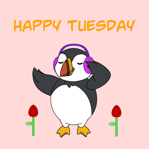 Tuesday Morning GIF by Puffins