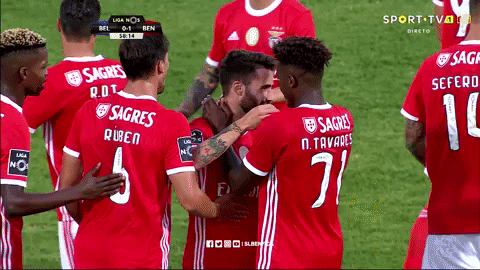 Sl Benfica Hug GIF by Sport Lisboa e Benfica
