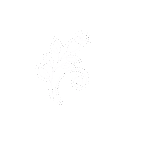 simonamarini2677 giphyupload white nature flower Sticker