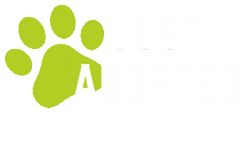 Adopt Humane Society Sticker by Merrick Pet Care