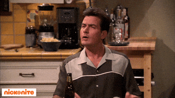 charlie sheen nan GIF by Nick At Nite