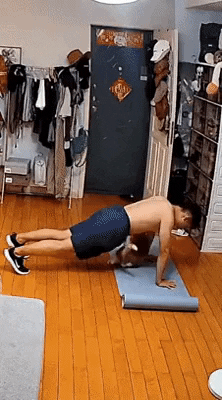 cuteanimalland giphyupload GIF