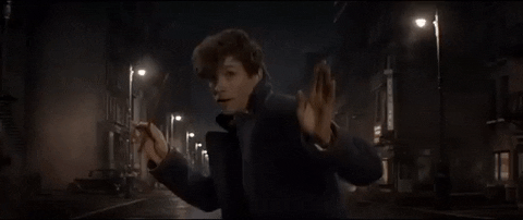 fantastic beasts and where to find them trailer GIF
