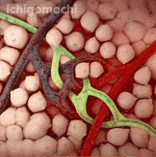 hypestorecomp giphyupload halluxredux GIF