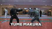 ninjutsu kata GIF by AKBAN Academy