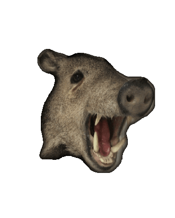 westfalia_jagdreisen giphythatsgonnabeanofrommedawg westfalia jagdreisen Sticker