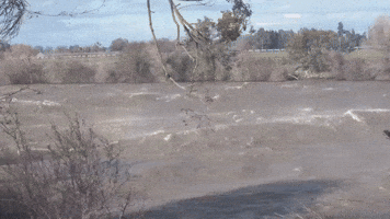 Flood Warnings Issued as Sacramento River Swells