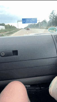 SVNiederau  GIF