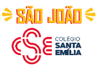 Festajunina Sticker by csecordeiro