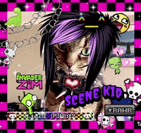 TheOdiecat cat odie oodle odiecat GIF