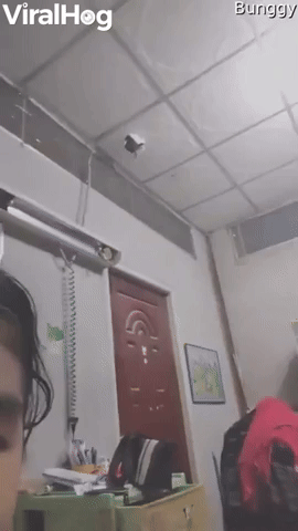 Cat Descends From Ceiling Hole
