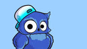 Owl Are You Sure GIF by BigBrains