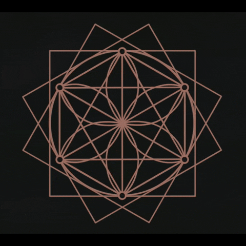studeii giphyupload GIF