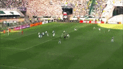 enea fabiano GIF by SE Palmeiras
