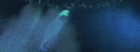 your way GIF by Jai Wolf