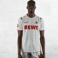 1 Fc Cologne Sport GIF by 1. FC Köln
