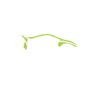 duthiveiculos duthiveiculos Sticker