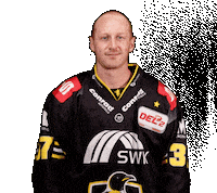 Del2 Seidenstadt Sticker by Krefeld Pinguine