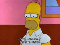 homer simpson GIF