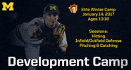 michigan baseball GIF by Michigan Athletics