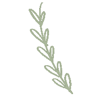 easelandeve plant plants leaves lines Sticker