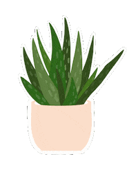abbeyrenae plant pottery vera aloe Sticker