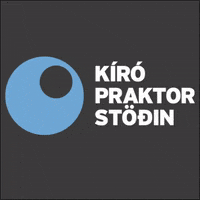 Kiropraktorstodin  GIF