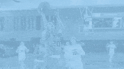 GIF by Columbia University Athletics