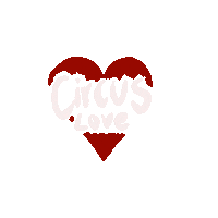 AirCraftCircusAcademy circus aircraftcircus aircraftcircusacademy aerialcircus Sticker