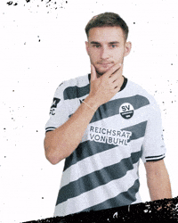 3Liga GIF by SV Sandhausen