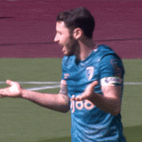 Premier League Shrug GIF by AFC Bournemouth