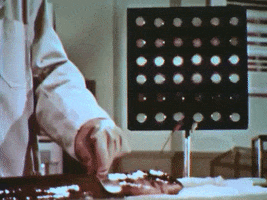 scottok filmstrip electric eel science film GIF
