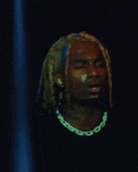 Playboi Carti GIF by Respective