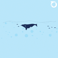 GIF by Oceana