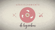 Omg Omg Omg Television GIF by MasterChef España