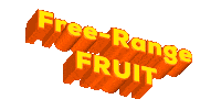 Vegan Orange Sticker by Aquafaba Test Kitchen