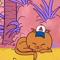 brunocromia bh belo horizonte patas penca GIF