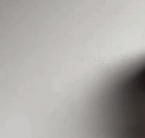 Leave Me Alone Coffee Cup GIF by Still Not A Hippie