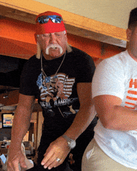 Wwe Wrestle GIF