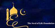 Holiday Plant GIF by The Seed of Life Foundation