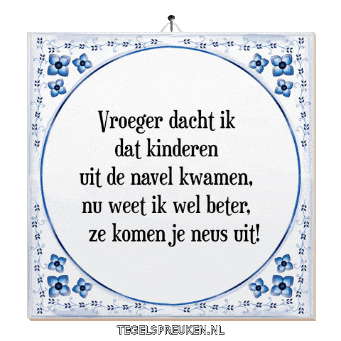 Humor Nl Sticker by Tegelspreuken.nl