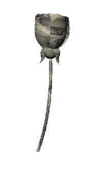 Money Flower Sticker by Alexander Wang